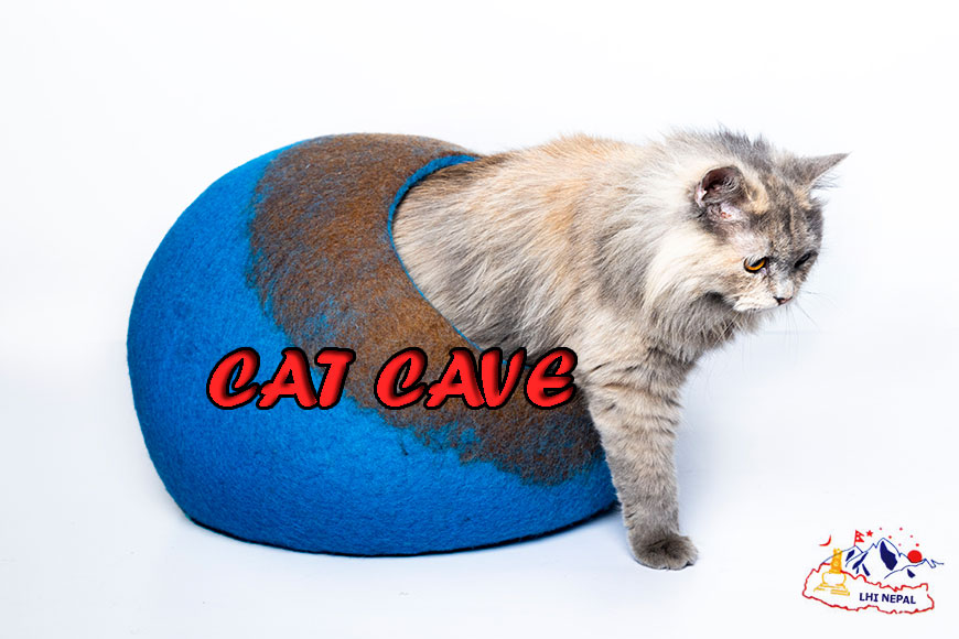 cat-cave